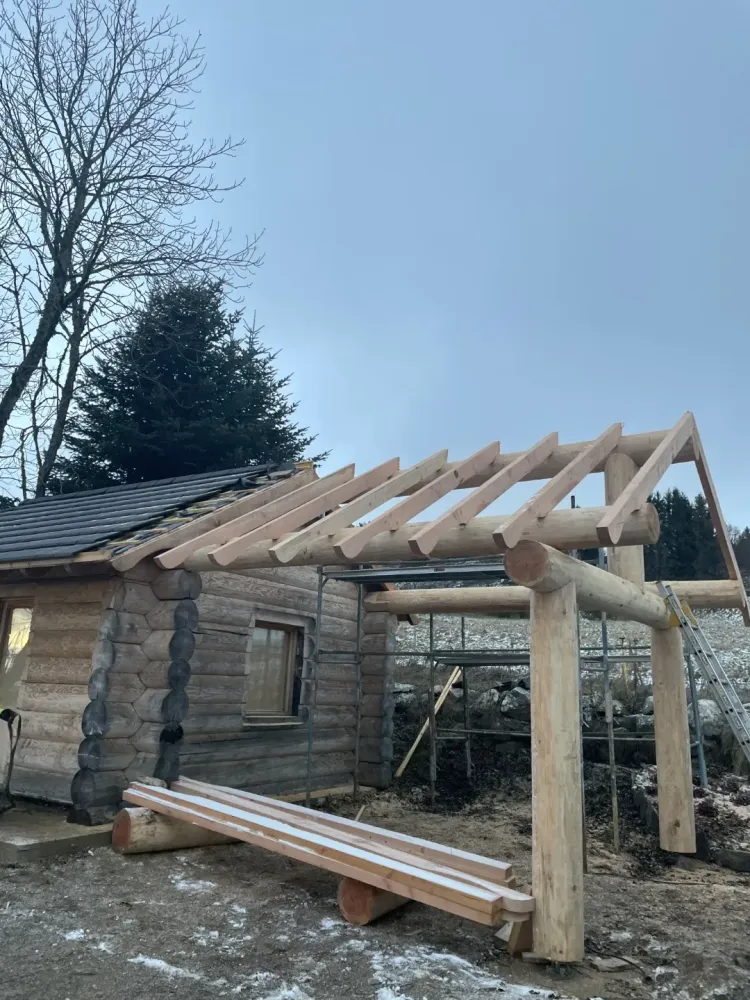 Taille d'arbre à  Saint-Flour-de-Mercoire